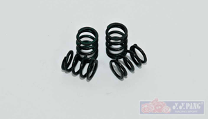 YYPANG Racing Clutch Spring for Honda EX5
