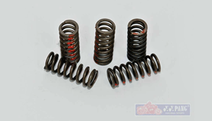 YYPANG Racing Clutch Spring for Suzuki RG