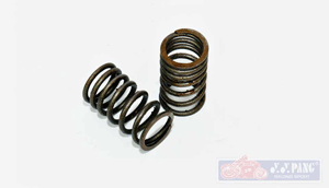 YYPANG Racing Valve Spring for Honda Wave 125